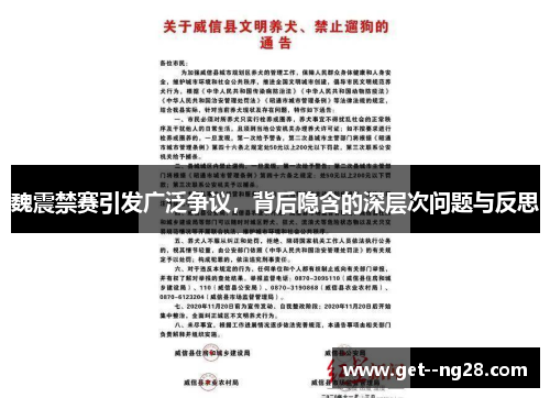 魏震禁赛引发广泛争议，背后隐含的深层次问题与反思